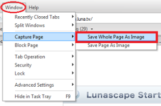 Lunascape's Capturing Whole Page as Image Feature